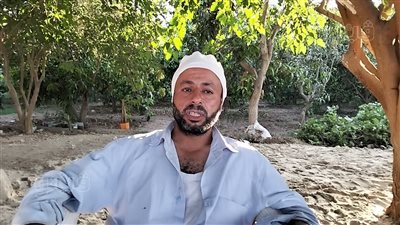 فني مزلقان بالإسماعيلية يكشف تفاصيل الاعتداء عليه لمنعه عبور سيارة أثناء قدوم القطار (فيديو)