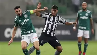 التشكيل المتوقع لمباراة بالميراس أمام بوتافوجو في ثمن نهائي مونديال الأندية