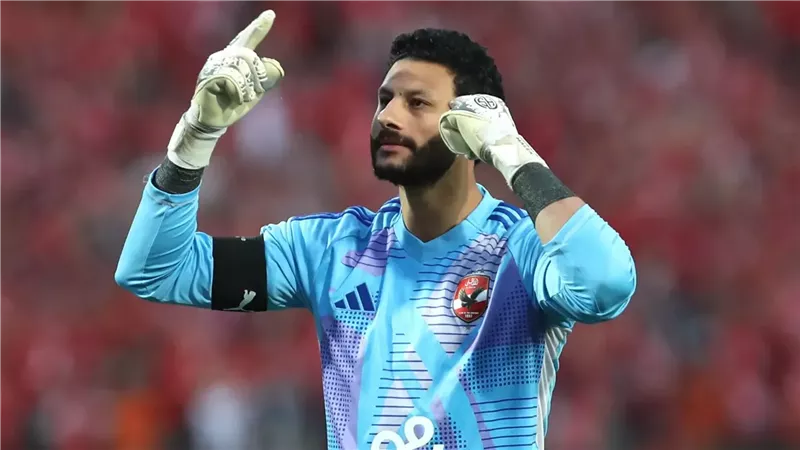 محمد الشناوي