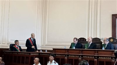 جنايات الإسكندرية تحيل أوراق سفاح المعمورة إلى المفتي 