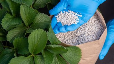 انخفاض طن النترات العادي 2360 جنيهًا، أسعار الأسمدة اليوم في الأسواق