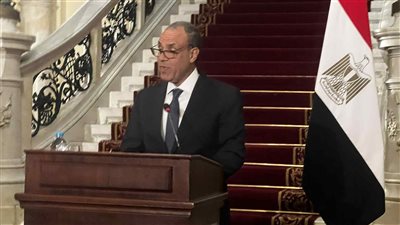 وزير الخارجية: القضية الفلسطينية جوهر الصراع وإسرائيل مسؤولة عن معاناة المدنيين 