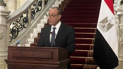 وزير الخارجية: مصر تمد يد العون لغزة وعلى إسرائيل رفع الحصار وفتح المعابر