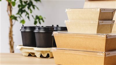 بديل المستورد، إنتاج ورق كرتون صديق للبيئة من مخلفات نخيل البلح