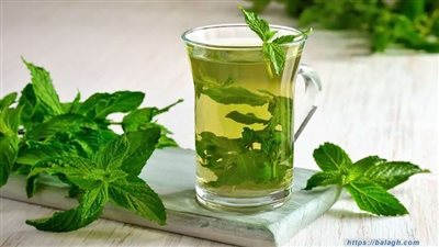 فوائد النعناع، يساعد على التركيز ويقلل من إجهادك وتوترك
