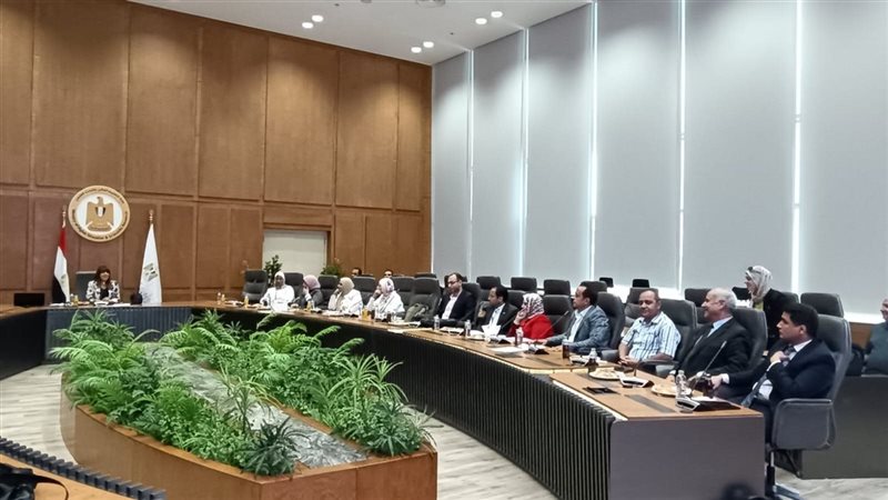 التعليم العالي والبحث