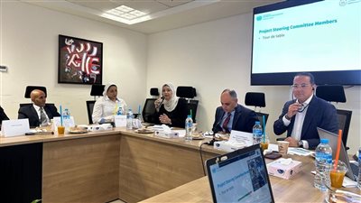 البيئة تترأس اجتماع لجنة مشروع تعزيز دور مصر القيادي في ابتكار التكنولوجيا النظيفة 