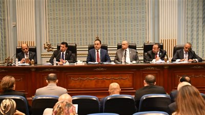 وزير الشباب والرياضة: بند الـ 8 سنوات سيطبق فور تطبيق القانون الجديد