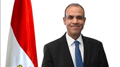  وزير الخارجية: أى تغيير بالإقليم مرهون بإرادة كل الدول وليس إسرائيل 