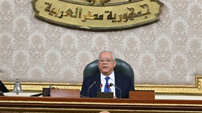 رئيس النواب: ثورة 30 يونيو كانت صيحة وعي ملايين المصريين