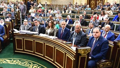 نائب لـ الحكومة: 