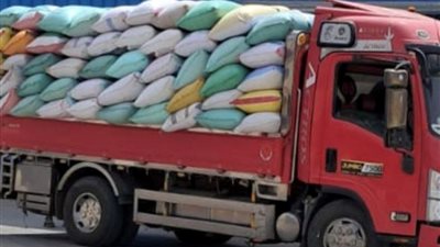  تموين الشرقية: انتظام العمل بمنظومة توريد القمح للشون والصوامع 