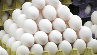 كرتونة الأبيض ترتفع 3 جنيهات، أسعار بيض المائدة اليوم الإثنين 30 يونيو 2025