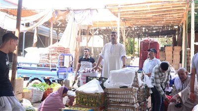 أزمة نقل سوق مصر القديمة تتصاعد، والتجار: الأسعار ستتضاعف 4 مرات (فيديو وصور) 