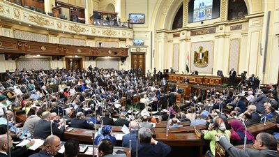 نائبة: أوافق على مطلب شعبي برحيل الحكومة وأرفض تعديل الإيجار القديم