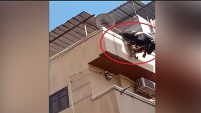 في ظروف غامضة، سقوط طالبة من الطابق الثامن بشارع أحمد زكي بالبساتين