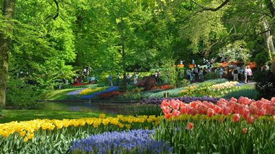 تفسير رؤية الحديقة في المنام وعلاقتها بقدوم الخير والاستقرار العاطفي 