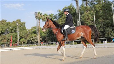 الأولمبياد الخاص، انطلاق مسابقة الفروسية استعدادا لبطولة 