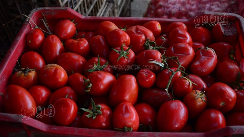 استقرار سعر عداية