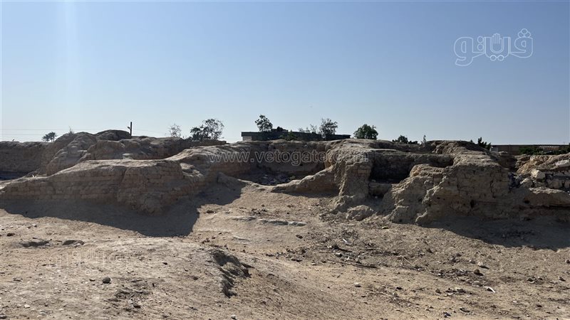معصرة نبيذ اثرية
