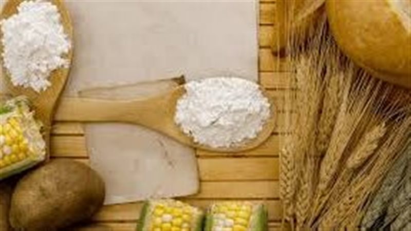 صادرات النشا 
