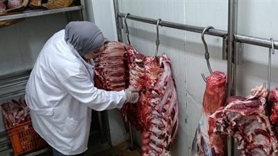 ضبط 122 طنا من اللحوم والدواجن الفاسدة في حملات بيطرية خلال يونيو