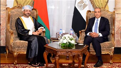 تفاصيل لقاء وزير الخارجية ونظيره العُماني وأعمال اللجنة المشتركة بالقاهرة (صور)