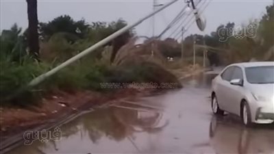 سقوط أشجار وأعمدة إنارة ونفوق حيوانات، خسائر الأمطار بقرى الدقهلية 