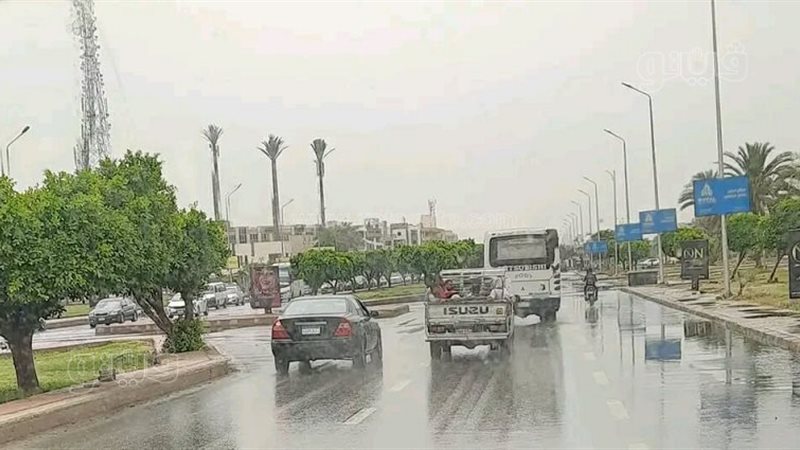 حالة الطقس غدا، فيتو
