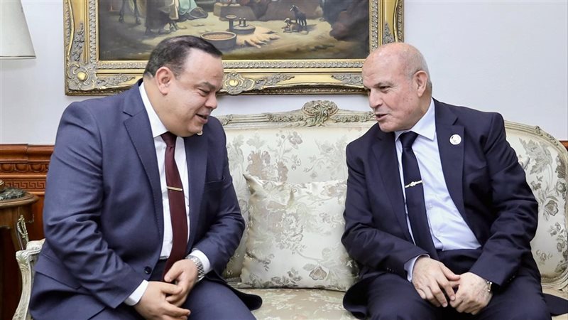 رئيس النيابة الإدارية
