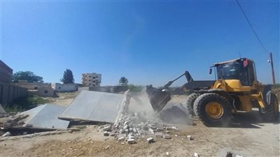 إزالة التعديات على الأراضي الزراعية، محافظ الإسكندرية: التعامل بكل حسم مع أي مخالف 