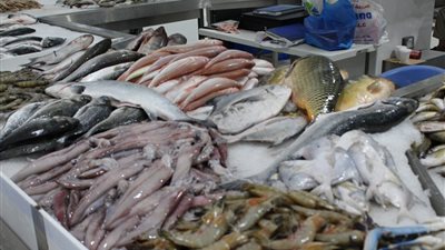 سعر السمك اليوم، ارتفاع البلطي والكابوريا وانخفاض غير مسبوق في المكرونة وقشر بياض
