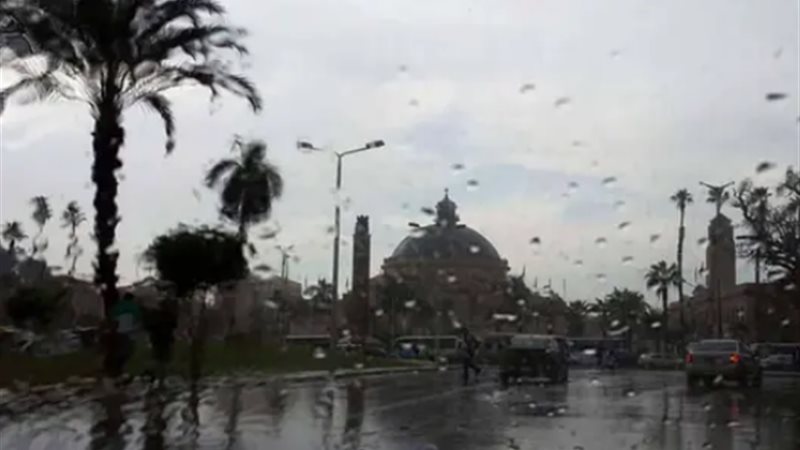 حالة الطقس غدا، فيتو