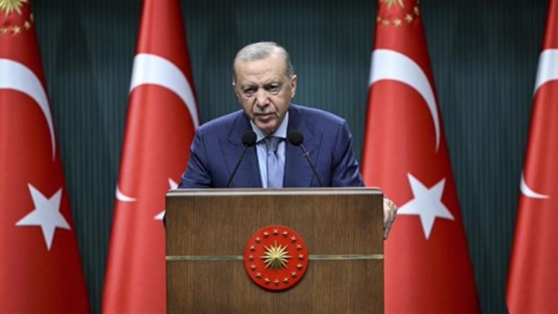 اردوغان،فيتو