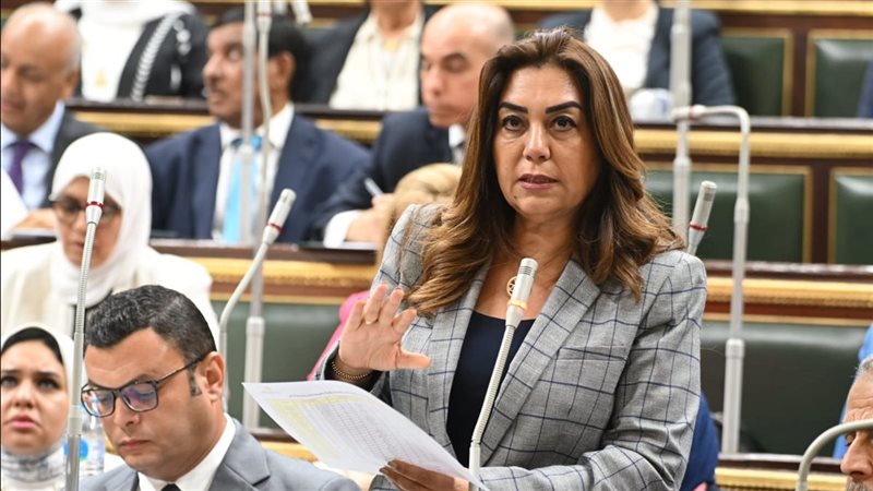 وزيرة التنمية المحلية
