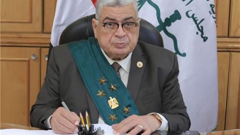 المستشار أحمد عبود،