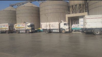 شون وصوامع الشرقية تستقبل 600 ألفا و187 طن قمح منذ بدء الموسم 