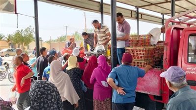 محافظ الوادي الجديد يتابع جهود تحسين الخدمات العامة وتطوير البنية التحتية