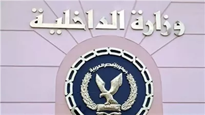 الداخلية تكشف ملابسات فيديو مشاجرة بالأسلحة البيضاء في المرج
