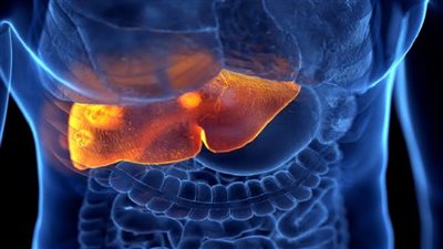 7 أعراض لتراكم الدهون على الكبد، ومتى يجب استشارة الطبيب 