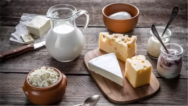 أسعار الجبن اليوم،