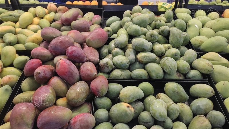 سعر المانجو اليوم