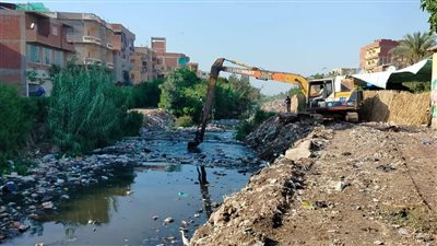 تنظيف ورفع ناتج تطهير مصرف أم سلمى بقرية دماص في الدقهلية (صور) 