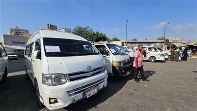 مواصلات مجانية بالإسماعيلية لنقل المواطنين لمبادرة الأسماك لأهل البلد (صور)