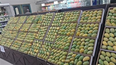 شعبة الخضراوات والفاكهة: 30% انخفاضًا في أسعار المانجو بالأسواق