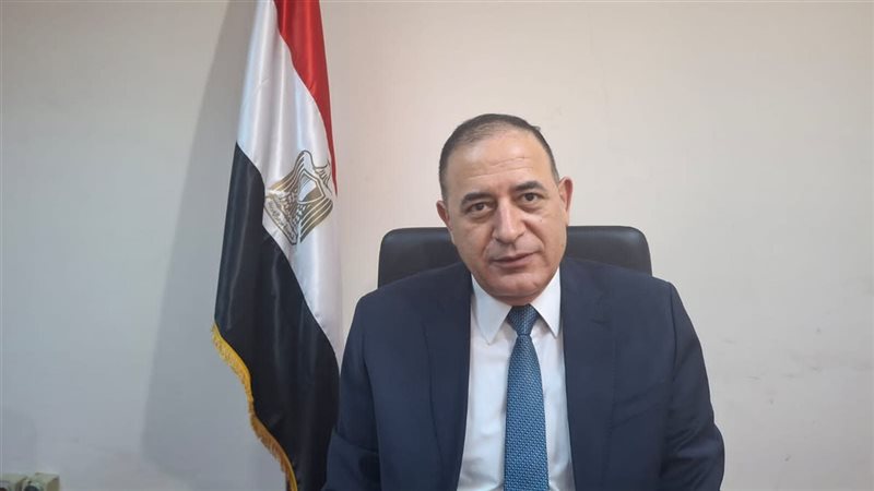 المستشار عماد علي