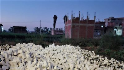  الأجهزة التنفيذية بالشرقية تواصل إزالة التعديات واستعادة الانضباط 