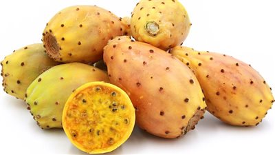 فوائد التين الشوكي لمرضى السكري ولتقوية المناعة وإنقاص الوزن