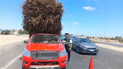 حملة للكشف عن تعاطي المواد المخدرة والمخالفات المرورية بالدقهلية (صور) 