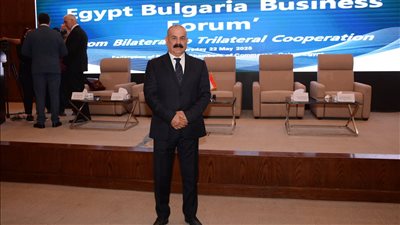 المكاوى: خطوط الـ